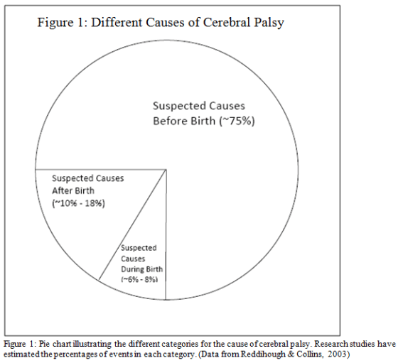 cerebral palsy causes