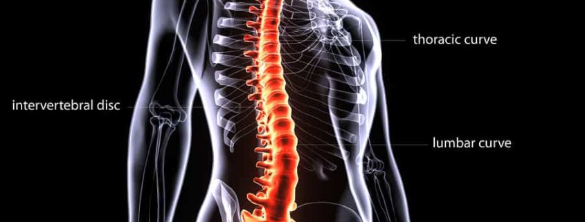 Bronx Spinal Cord Injury Attorney