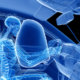 Malfunctioning Airbags and the Terrible Injuries They Cause Diamond Injury Law