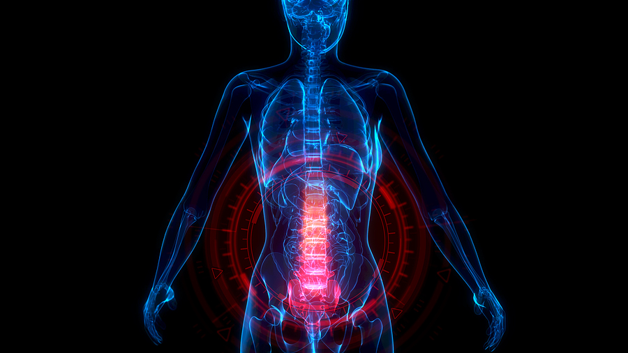 Bronx Spinal Cord Injury Lawyer | Law Office of Ivan M Diamond Bronx Spinal Cord Injury Lawyer | Law Office of Ivan M Diamond