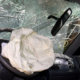 Bronx Car Crash Lawyer